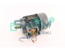 NORD 80S/4 TF T14 MOTOR New